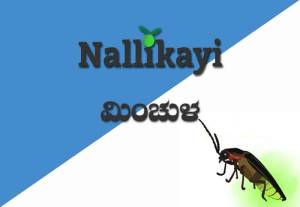 Minchula (Firefly) | Nallikayi Podcast